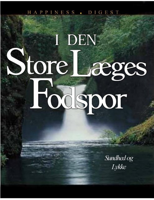 I Den Store Læges Fodsporl