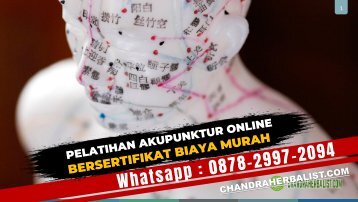 (Wa:0878-2997-2094) Kursus Pelatihan Akupunktur Online Di Jakarta Bekasi Bandung Yogyakarta Semarang