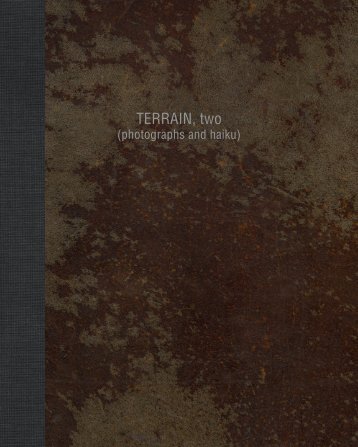 TERRAIN,two