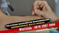 (Wa0878-2997-2094) Kursus Akupunktur Di Banjarnegara Biaya Murah Bersertifikat