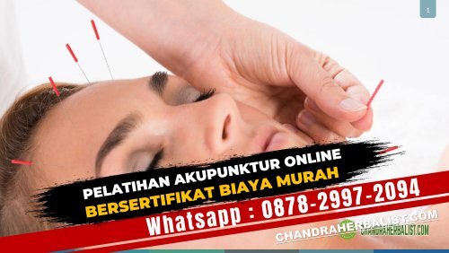 (Wa0878-2997-2094) Kursus Pelatihan Akupunktur Di Wonosobo Bersertifikat Biaya Murah