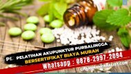 (Wa0878-2997-2094) Kursus Pelatihan Akupunktur Di Purbalingga Bersertifikat Biaya Murah