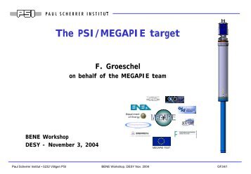 The PSI/MEGAPIE target - Desy