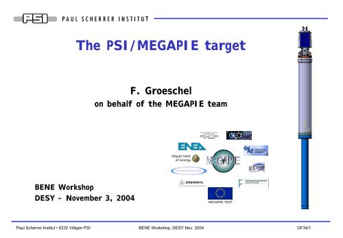 The PSI/MEGAPIE target - Desy