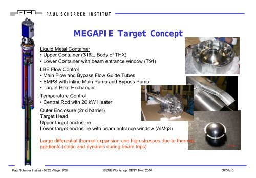 The PSI/MEGAPIE target - Desy
