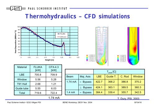 The PSI/MEGAPIE target - Desy