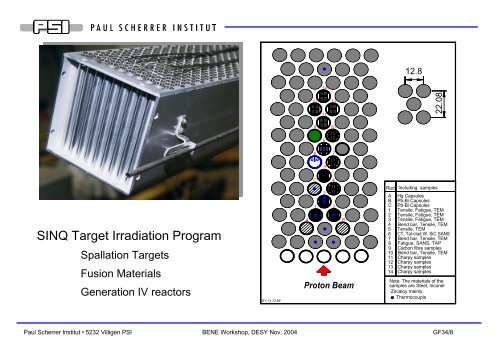 The PSI/MEGAPIE target - Desy