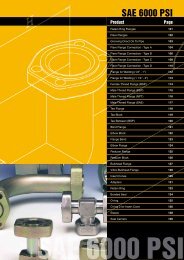 sae 6000 psi.pdf