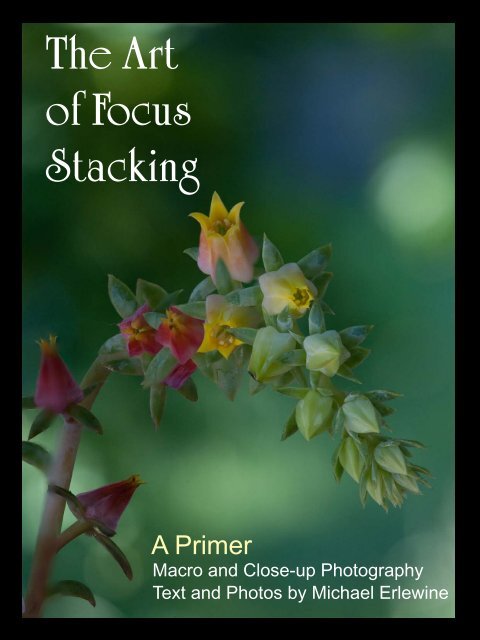 The Art of Focus Stacking - Matrix Software