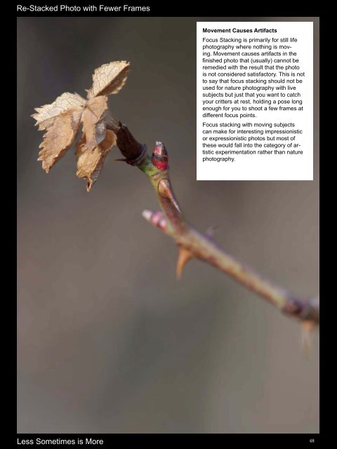 The Art of Focus Stacking - Matrix Software