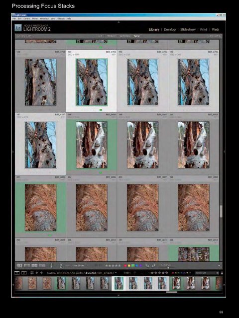 The Art of Focus Stacking - Matrix Software