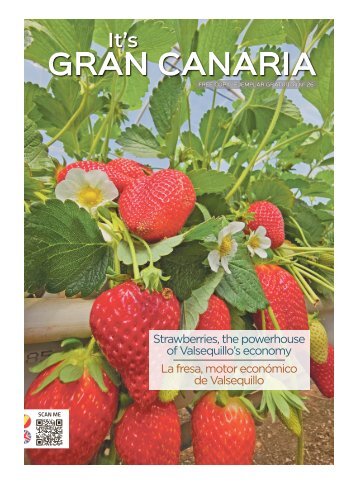 No. 26 - Its Gran Canaria Magazine
