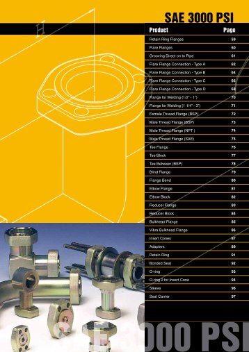 sae 3000 psi.pdf