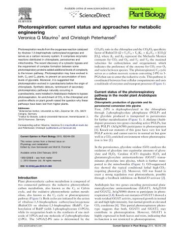 Photorespiration: current status and approaches for ... - iGRAD-Plant