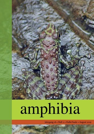 amphibia_2019_2