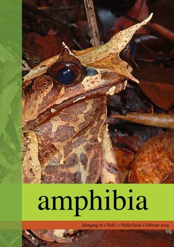 amphibia_2019_1