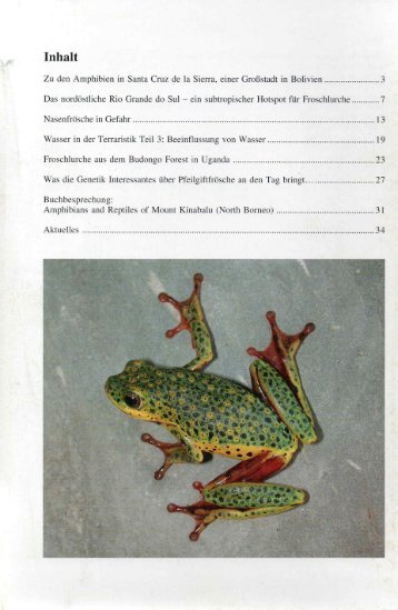 amphibia_2003_1