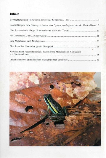 amphibia_2003_2