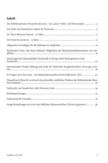 amphibia_2007_2