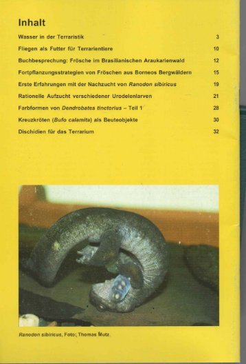 amphibia_2002_2