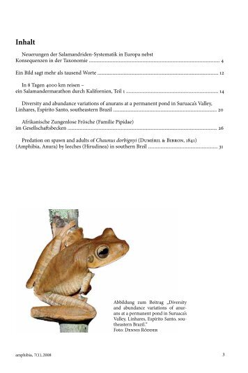amphibia_2008_1