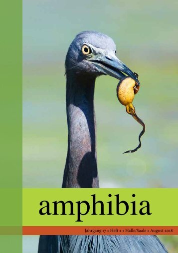 amphibia_2018_2
