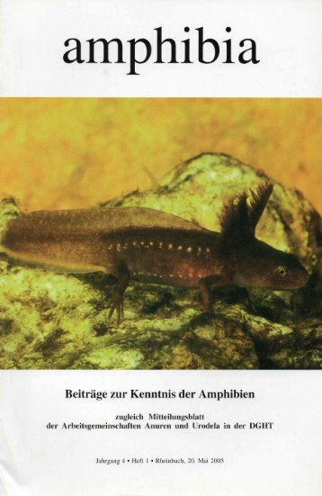 amphibia_2005_1