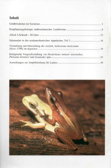 amphibia_2004_1