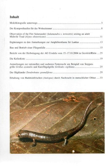amphibia_2004_2