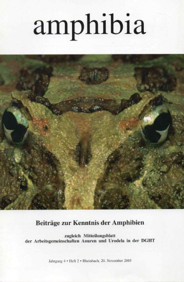 amphibia_2005_2