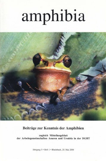 amphibia_2006_1