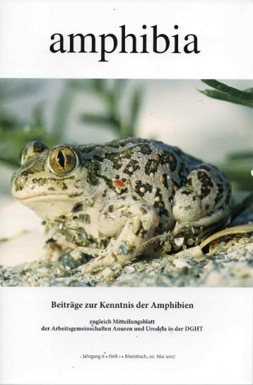 amphibia_2007_1