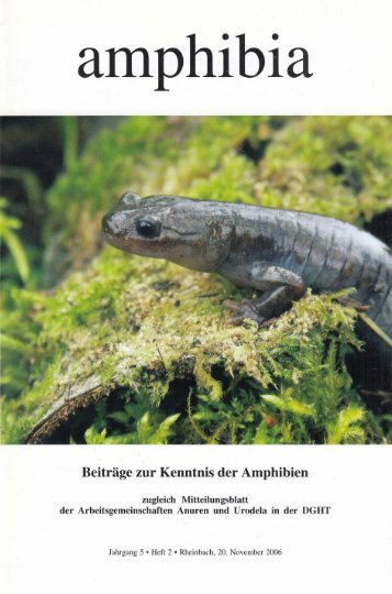 amphibia_2006_2