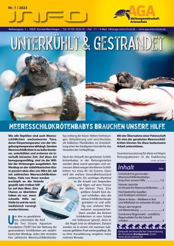 Unterkühlt & gestrandet – Meeresschildkrötenbabys brauchen unsere Hilfe