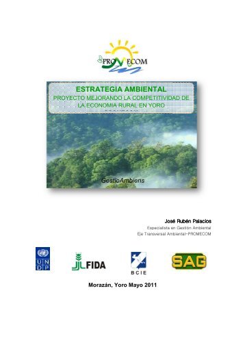 ESTRATEGIA ESTRATEGIA AMBIENTAL - PROMECOM