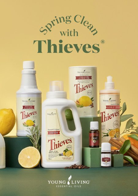 Thieves Kitchen and Bath Scrub: My New Favorite Cleaning Scrub! - The  Inspired Room