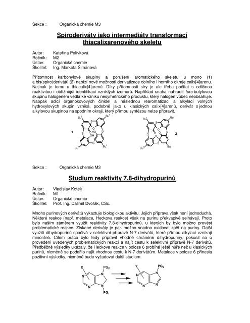 Ústav organické chemie – program SVK 2008 - VŠCHT