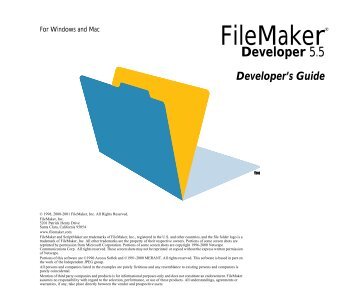 Using the FileMaker Developer Tool