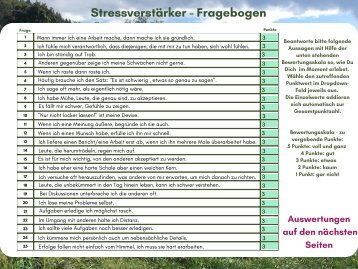 Welcher "Antreiber" stresst Dich am Meisten?