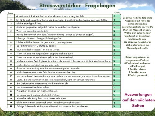 Welcher "Antreiber" stresst Dich am Meisten?