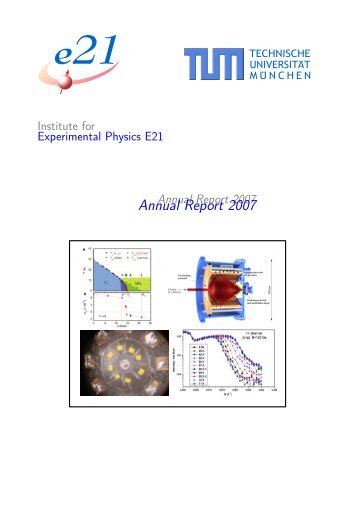 Annual Report 2007 - E21 - TUM