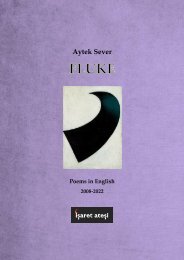 Aytek Sever - Fluke
