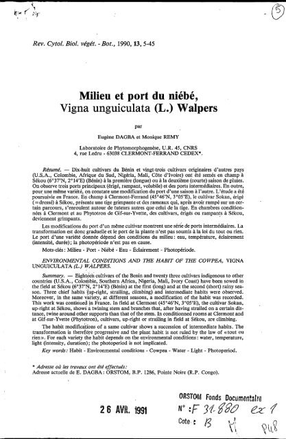 Milieu et port du niébé Vigna unguiculata (L.) Walpers - IRD