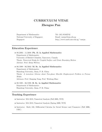 CURRICULUM VITAE Zhenguo Pan - Department of Mathematics ...