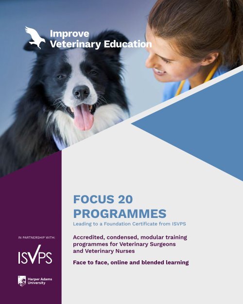IVE Focus 20 Brochure 2023 Web