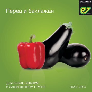  Перец и баклажан для выращивания в защищенном грунте 2023_24