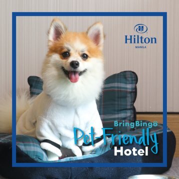 Hilton Manila - Bring Bingo Pet Friendly Hotel