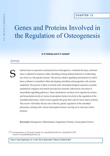 Genes and Proteins Involved in the Regulation of Osteogenesis - Oulu
