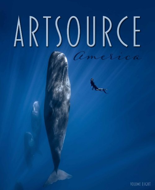 ARTSource America - Volume Eight