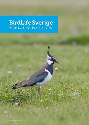 BirdLife Sverige Verksamhetsberättelse 2022